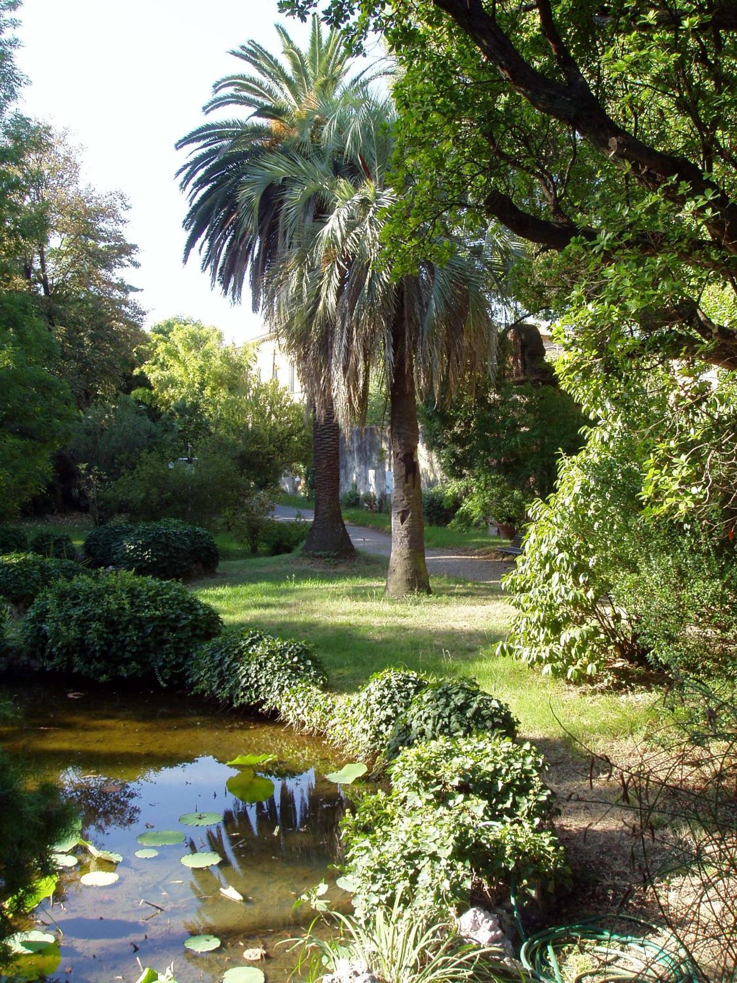 Apartmán Hagley Park Hidden Gem Christchurch Exteriér fotografie